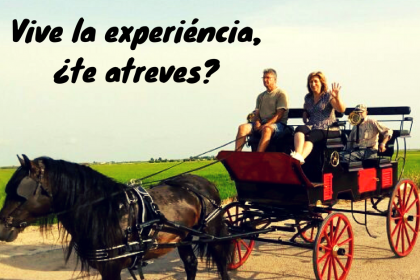 vive la experiéncia (1)